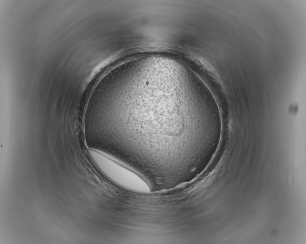 X0000089921210200707201810
