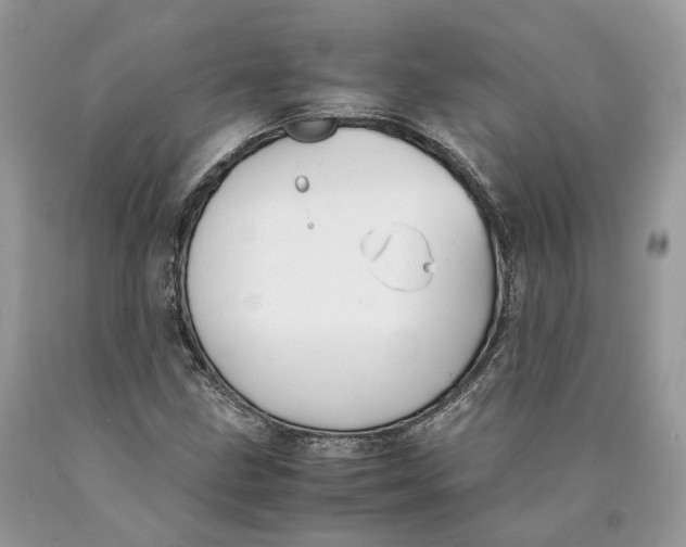 X0000089921211200707201810