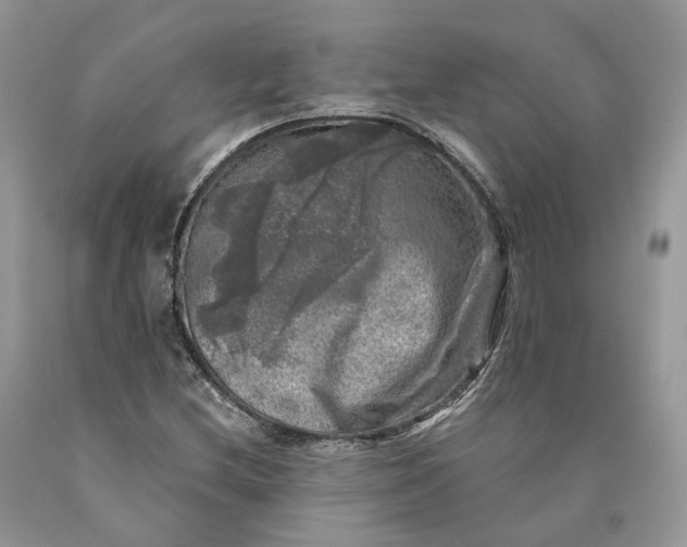 X0000089921212200707201810