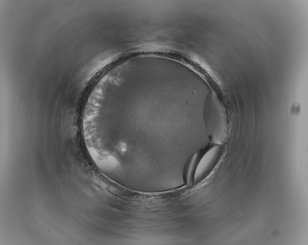 X0000089921213200707201810