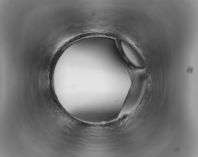 X0000089921214200707201810