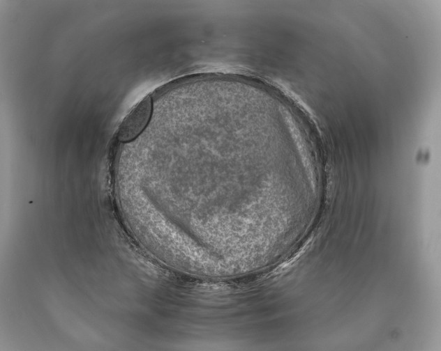 X0000089921215200707201810
