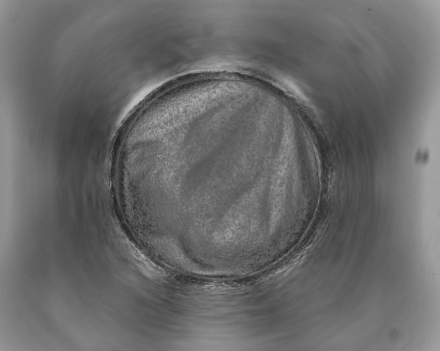 X0000089921216200707201810