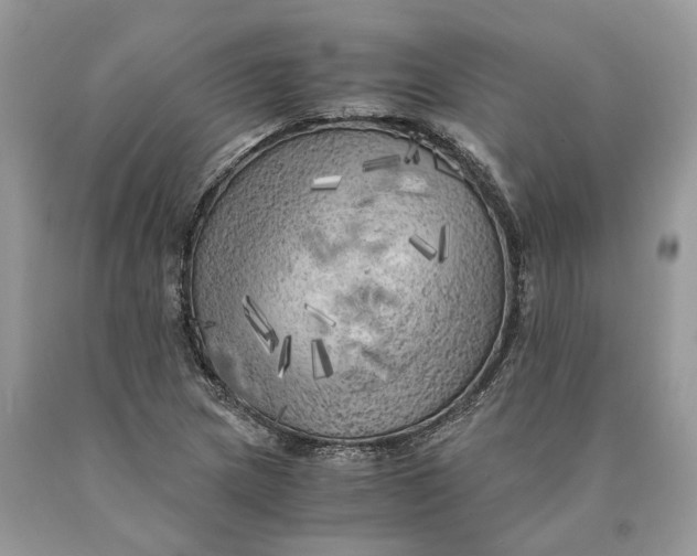 X0000089921217200707201811