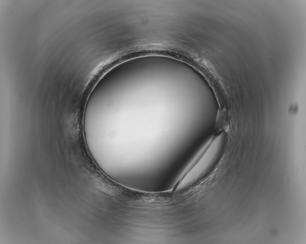 X0000089921218200707201811