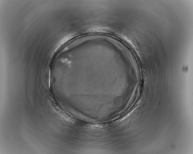 X0000089921219200707201811