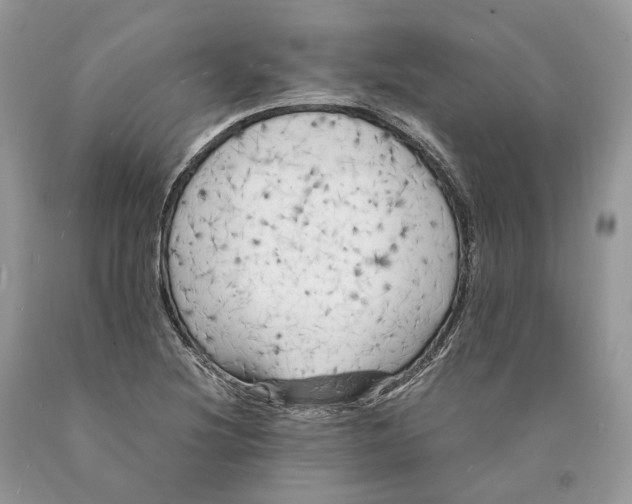 X0000089921220200707201811