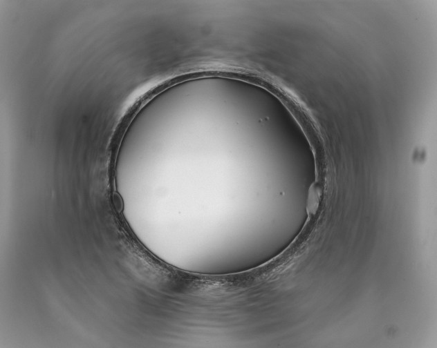 X0000089921222200707201811