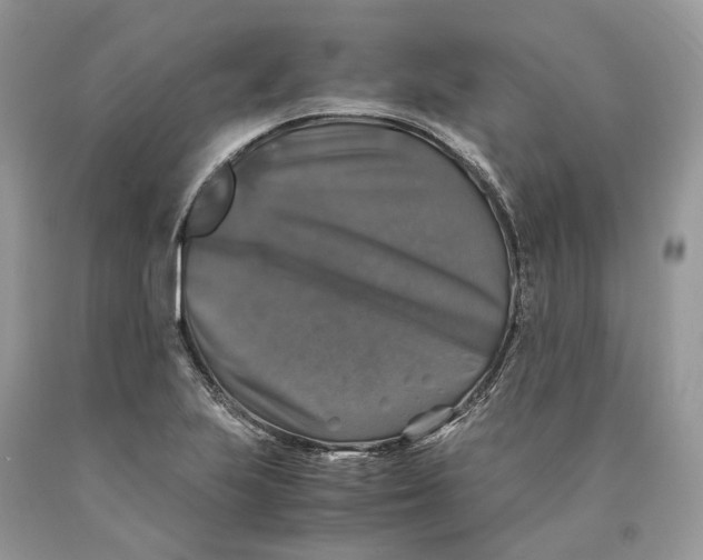 X0000089921223200707201811