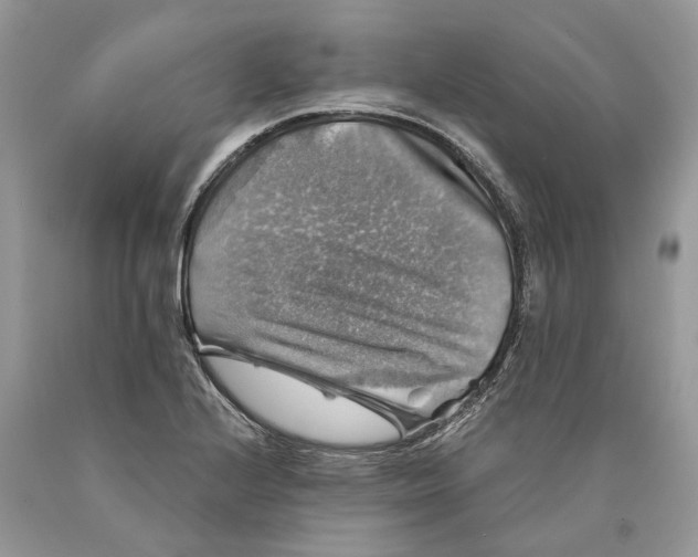 X0000089921224200707201811