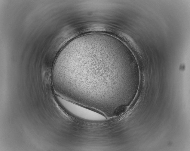 X0000089921225200707201811