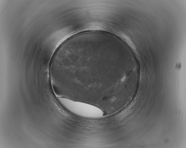 X0000089921226200707201811