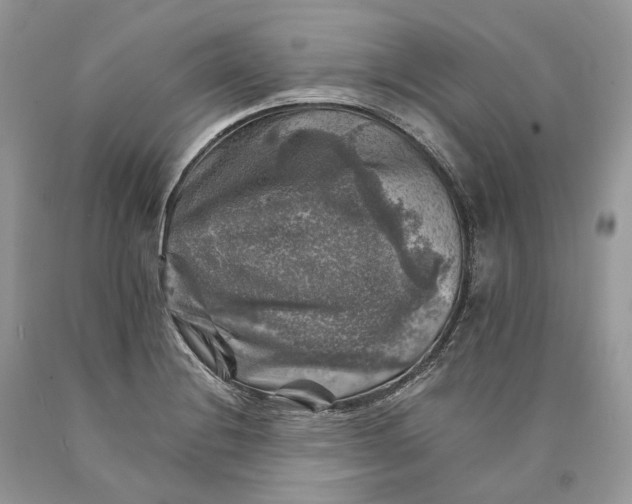 X0000089921228200707201811