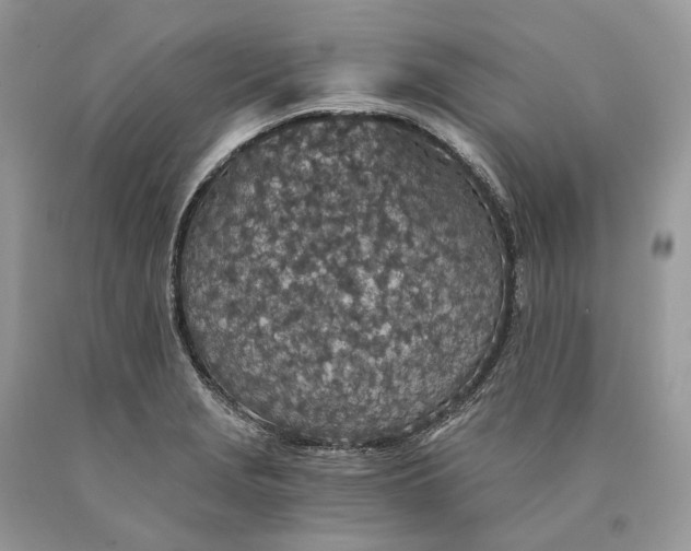 X0000089921229200707201811