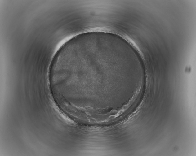 X0000089921230200707201811