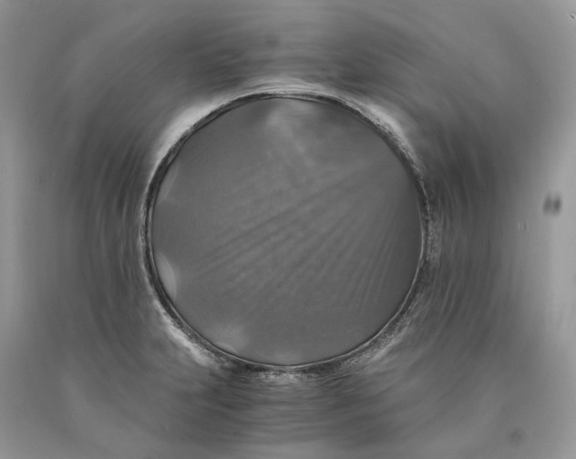 X0000089921231200707201811