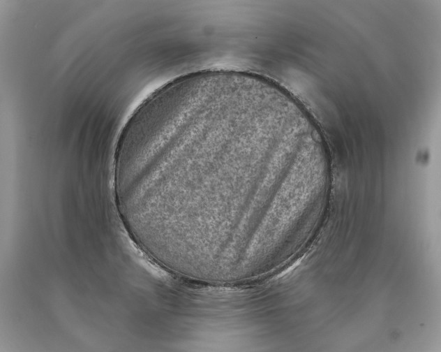 X0000089921232200707201811