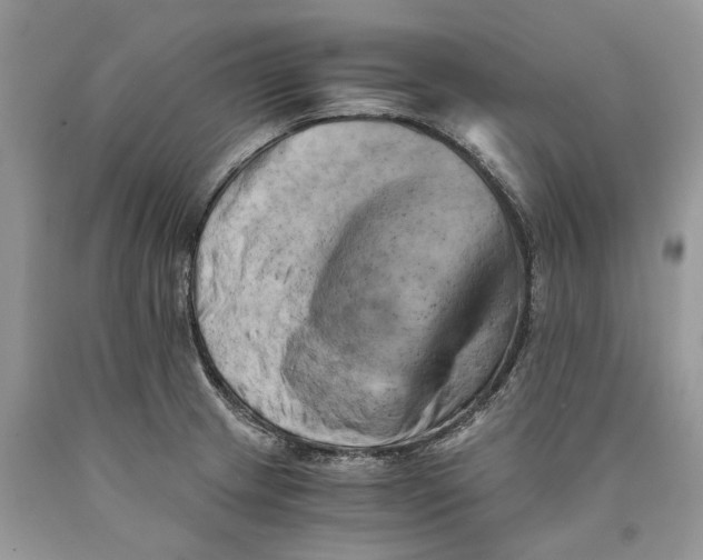 X0000089921233200707201811