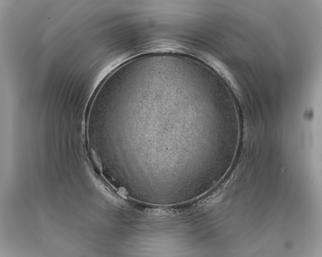 X0000089921234200707201811