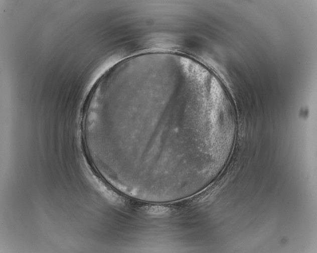 X0000089921235200707201811