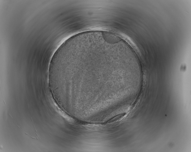 X0000089921236200707201811