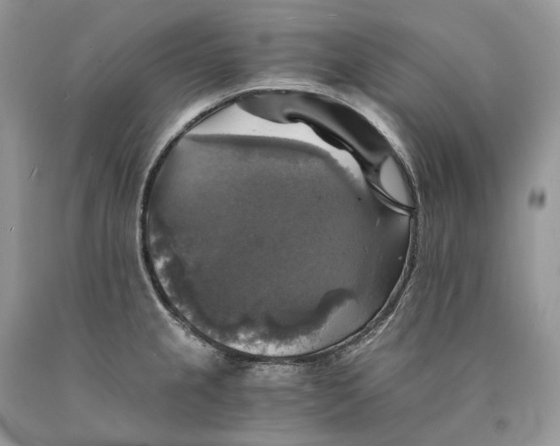 X0000089921237200707201811