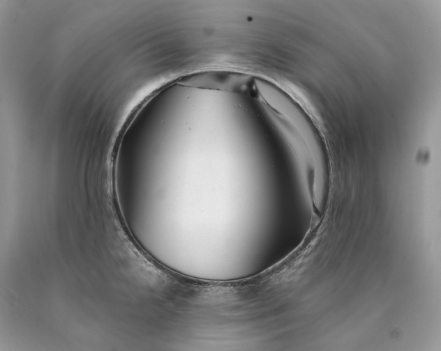 X0000089921238200707201811