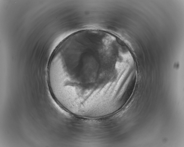 X0000089921239200707201811