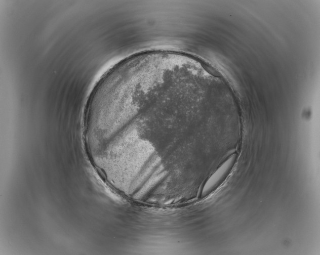 X0000089921240200707201811