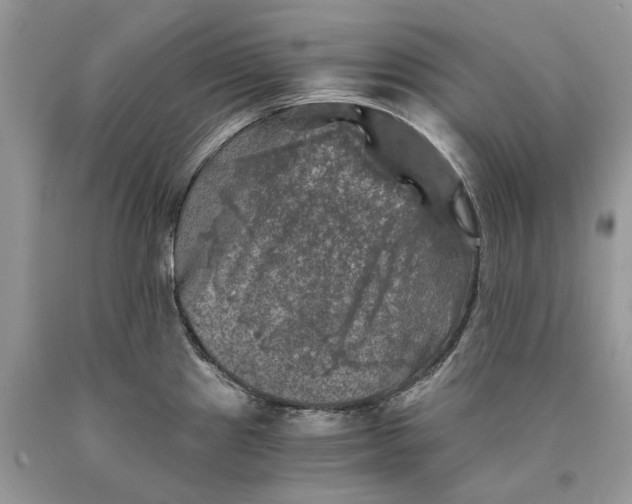 X0000089921241200707201811