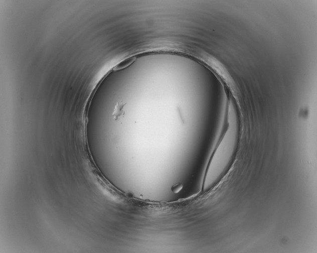 X0000089921242200707201811