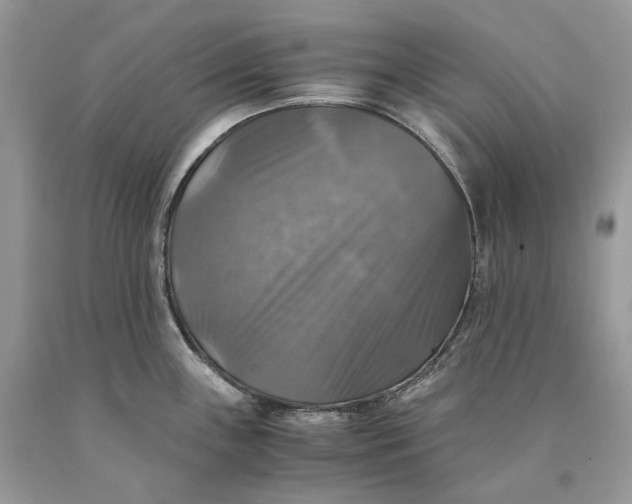 X0000089921243200707201811