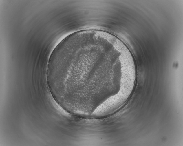 X0000089921244200707201811