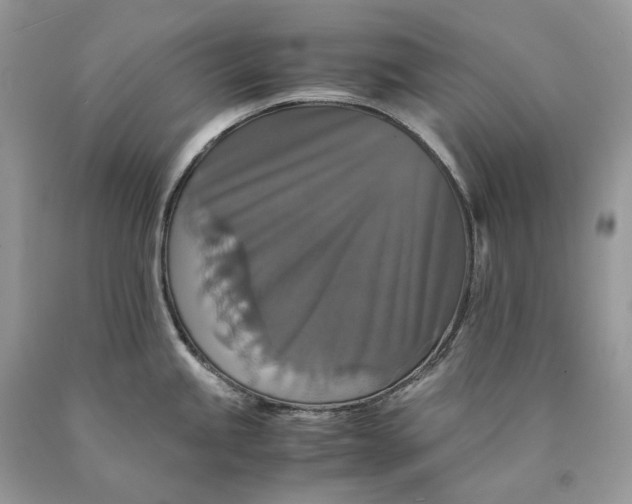 X0000089921245200707201811