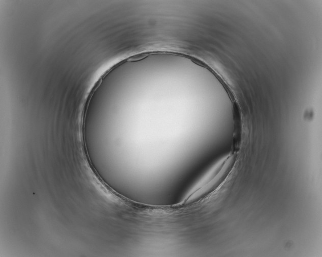 X0000089921246200707201811