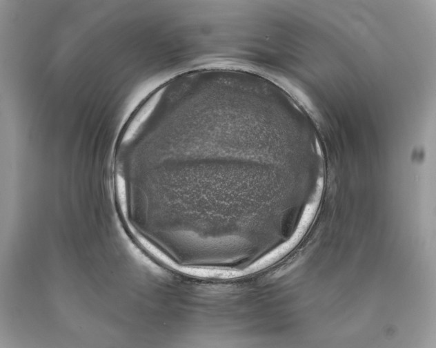 X0000089921247200707201811
