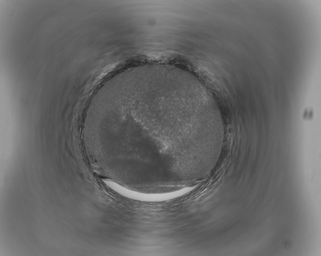 X0000089921249200707201810