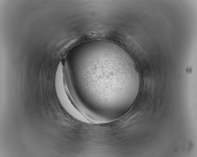 X0000089921250200707201810
