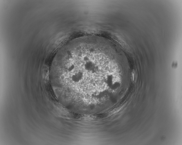 X0000089921251200707201810