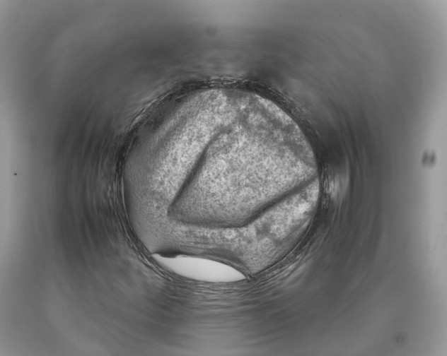 X0000089921252200707201810