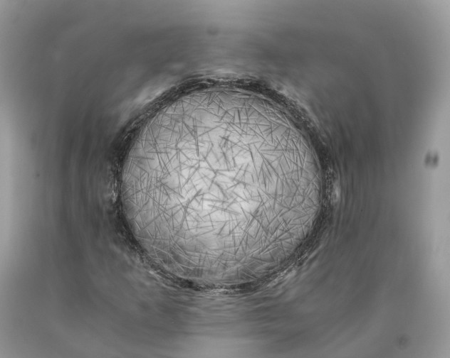 X0000089921253200707201810