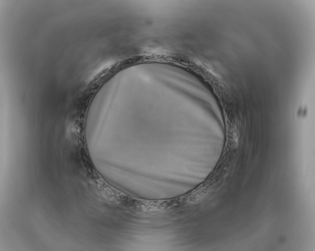 X0000089921254200707201810