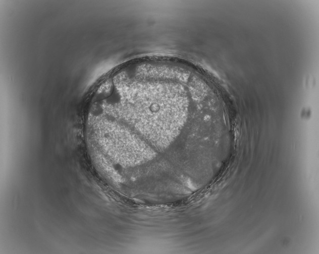 X0000089921255200707201810