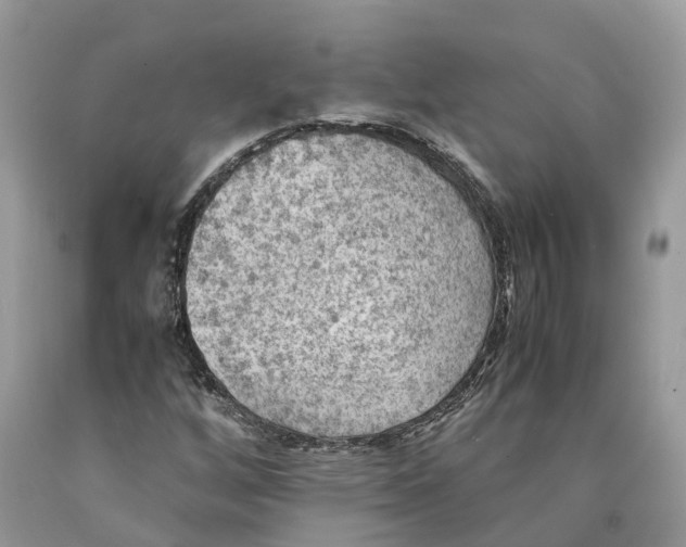 X0000089921256200707201810