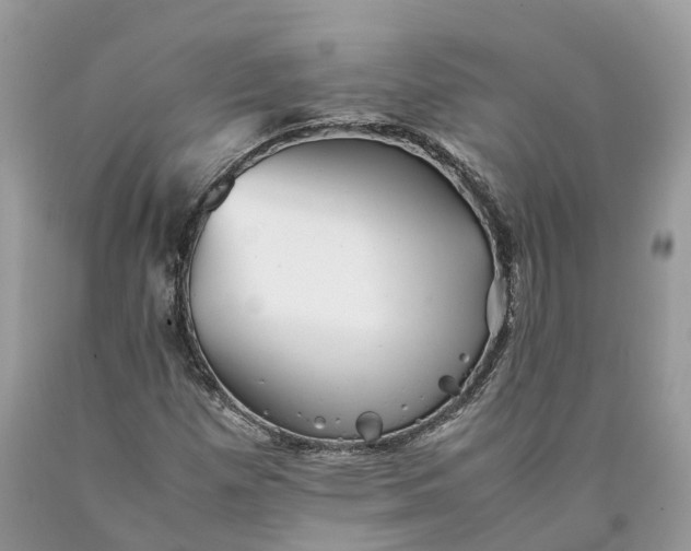 X0000089921257200707201810