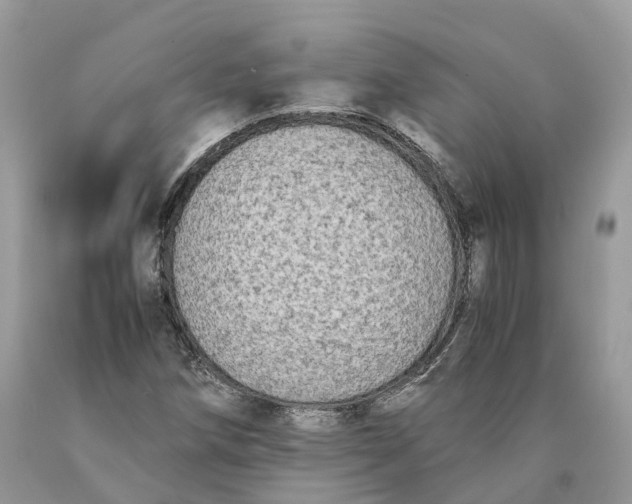 X0000089921258200707201810