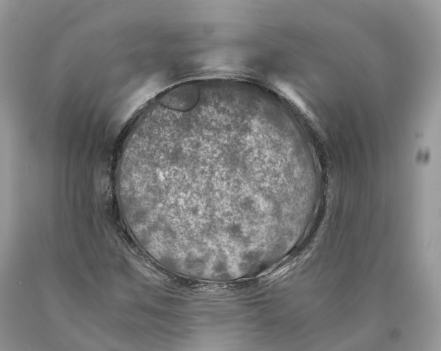 X0000089921259200707201810