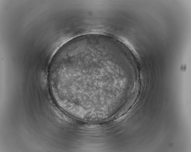 X0000089921260200707201810