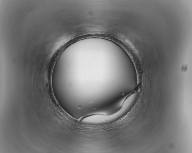 X0000089921261200707201810