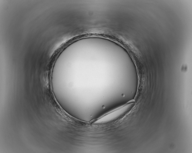 X0000089921262200707201810